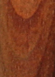 walnut wood sample